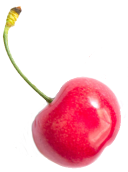 cherry