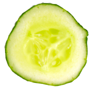 cucumber