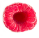 rasberry